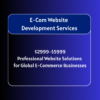 跨境电商独立站 E-commerce Website Service